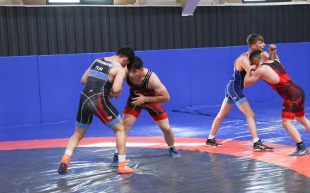 Milli Takım, 30 güreşçi ile madalya için İspanya'da!