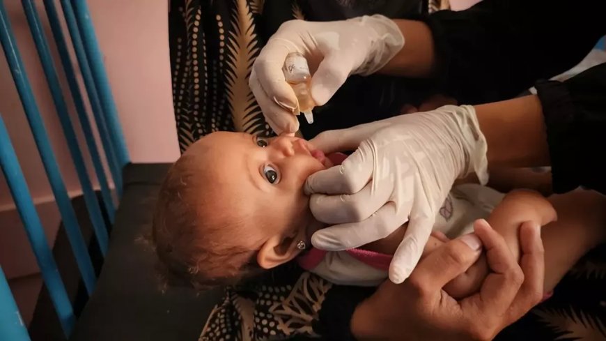 Gazze'nin Deyr el-Belah ilinde çocuk felci aşısı bugün başlıyor