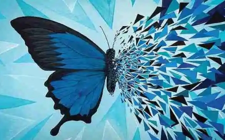 BİR KELEBEĞIN KANAT ÇIRPIŞI