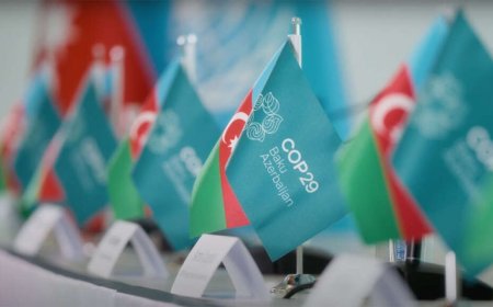 COP29 Başkanı gizli görüntülerde fosil yakıt anlaşmaları yaparken mi görüntülendi?