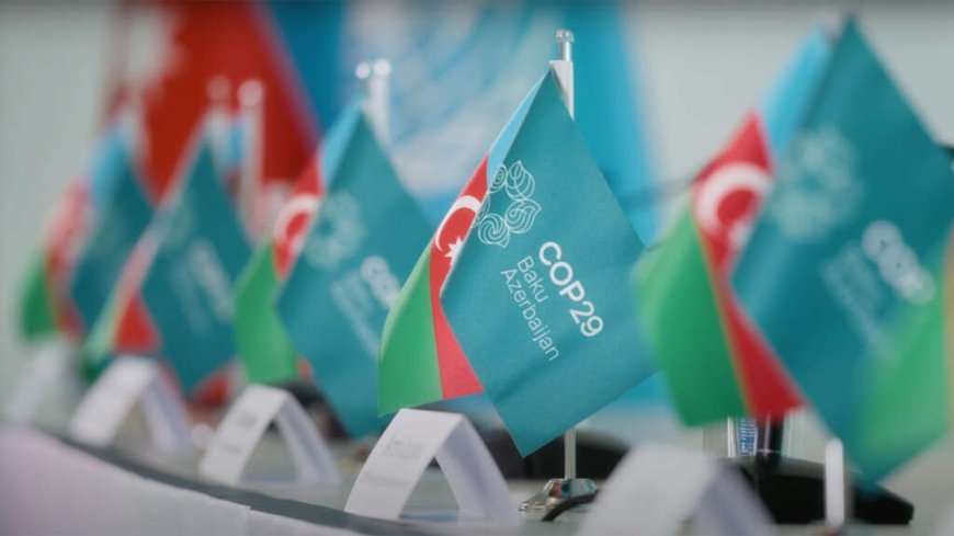 COP29 Başkanı gizli görüntülerde fosil yakıt anlaşmaları yaparken mi görüntülendi?