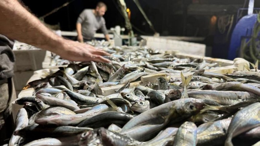 Kar yağışı ve fırtına nedeniyle balık tezgahları boş kaldı